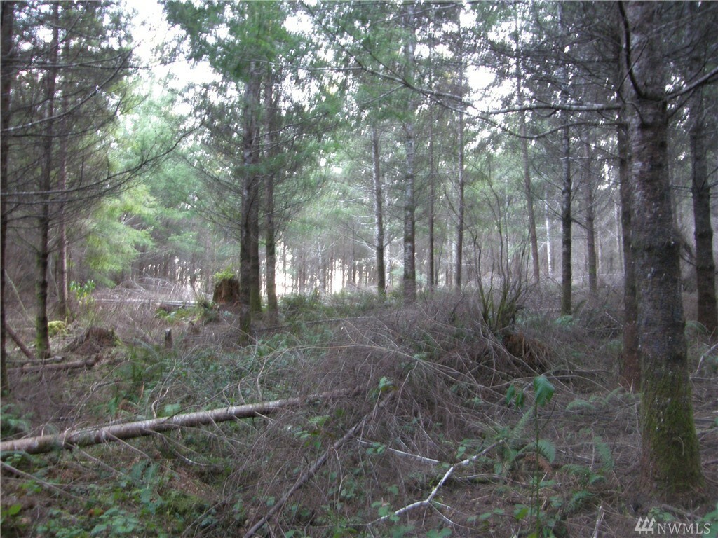 Property Photo: 115 Powers Creek Rd WA 98541