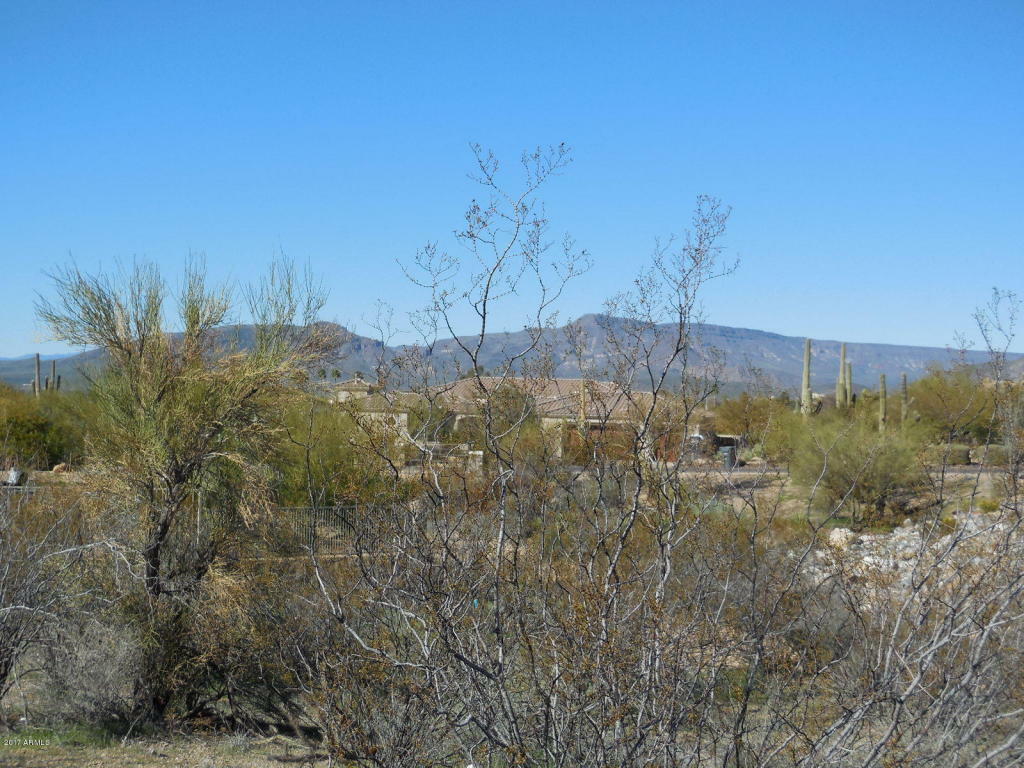 Property Photo:  37243 N Greythorn Circle N  AZ 85377 