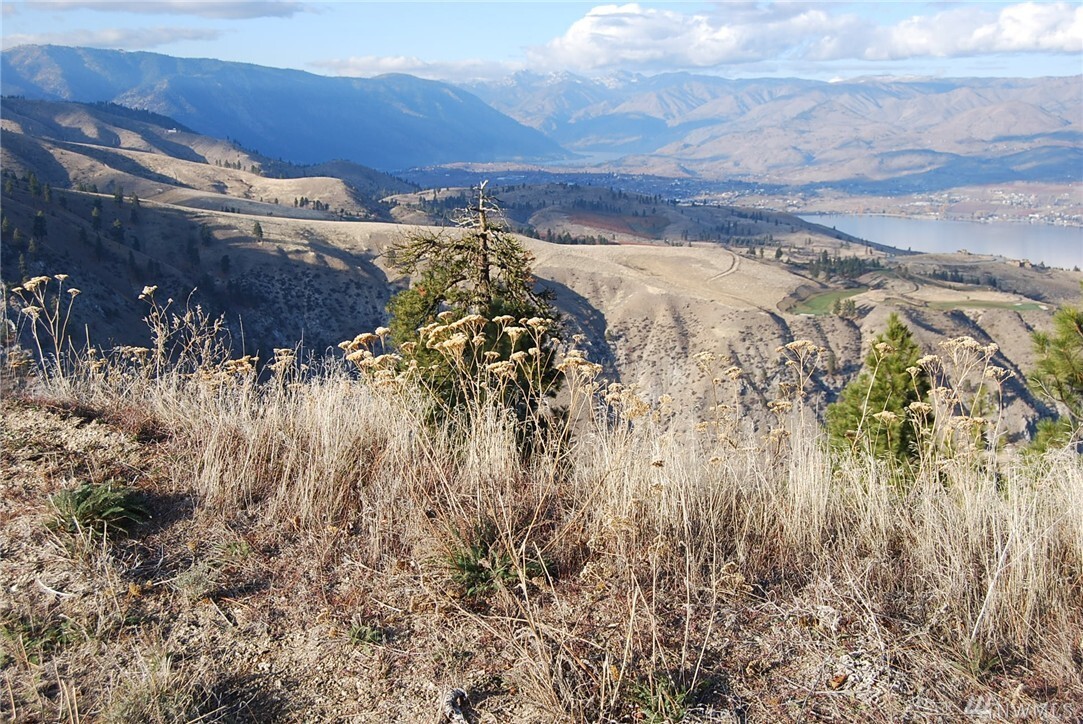 Property Photo: 524 Hawks Ridge Rd WA 98816
