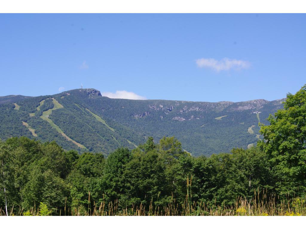 Property Photo: 0 Robinson Springs Road VT 05672