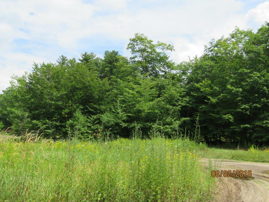 Property Photo: R14 L11-A2 Lockes Hill Road NH 03234