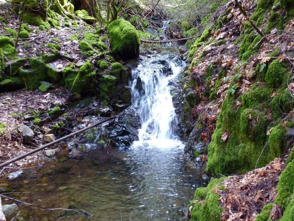 Property Photo:  +-35 Acres Roaring Brook Way  CA 96051 