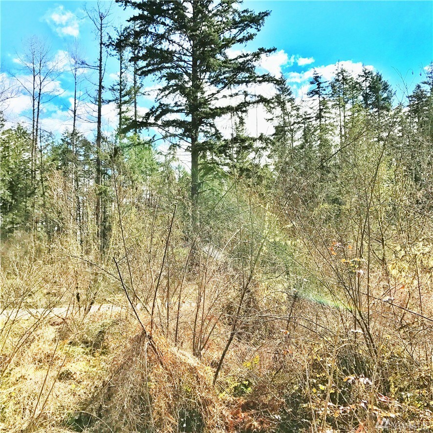 22712 63rd Ave E  Spanaway WA 98387 photo