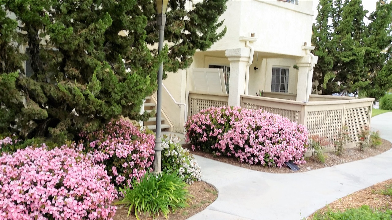 Property Photo: 730 Breeze Hill Rd 270 CA 92081