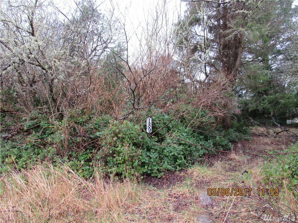 Property Photo:  189 S Narwhal Lp SW  WA 98569 
