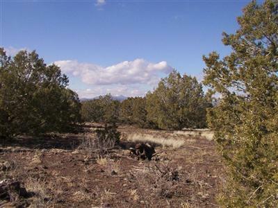 Property Photo:  1535 W Picacho  AZ 86320 