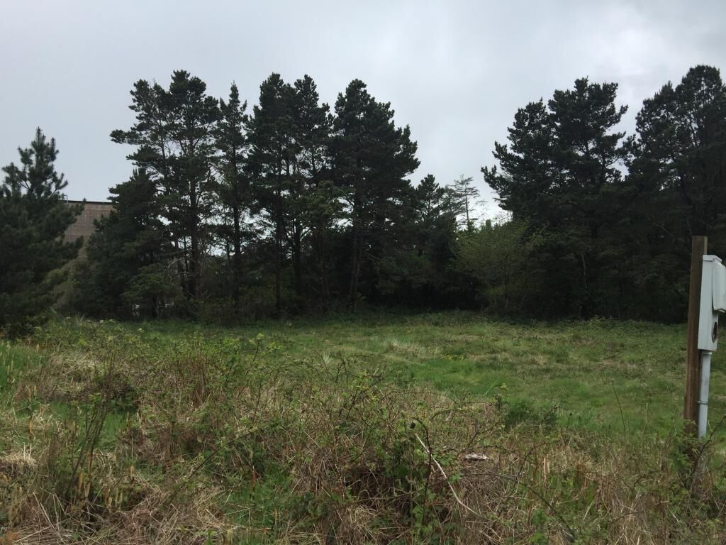 Property Photo: 700 Blk SE 37th Street OR 97367