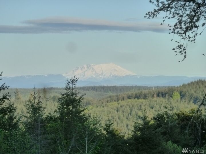Property Photo: 972 Brown Rd WA 98532