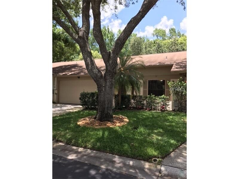 Property Photo: 4009 Shoreside Circle FL 33624