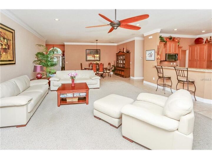 Property Photo:  10502 Cyndee Lane  FL 33556 