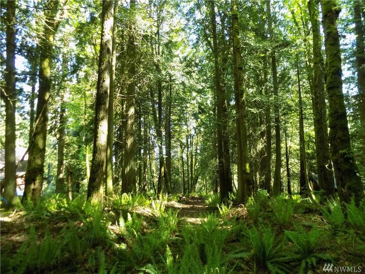 263 Xx SE Old Black Nugget Road  Issaquah WA 98029 photo