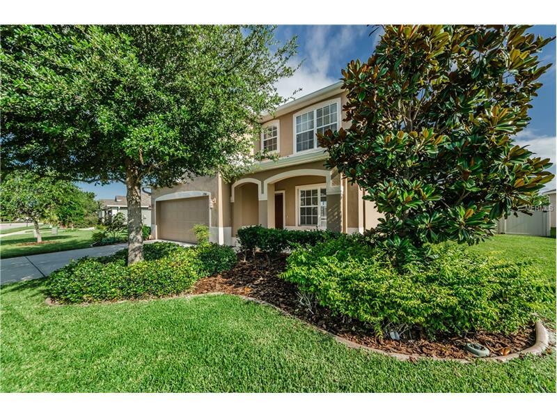 Property Photo:  2500 Triggerfish Court  FL 34691 