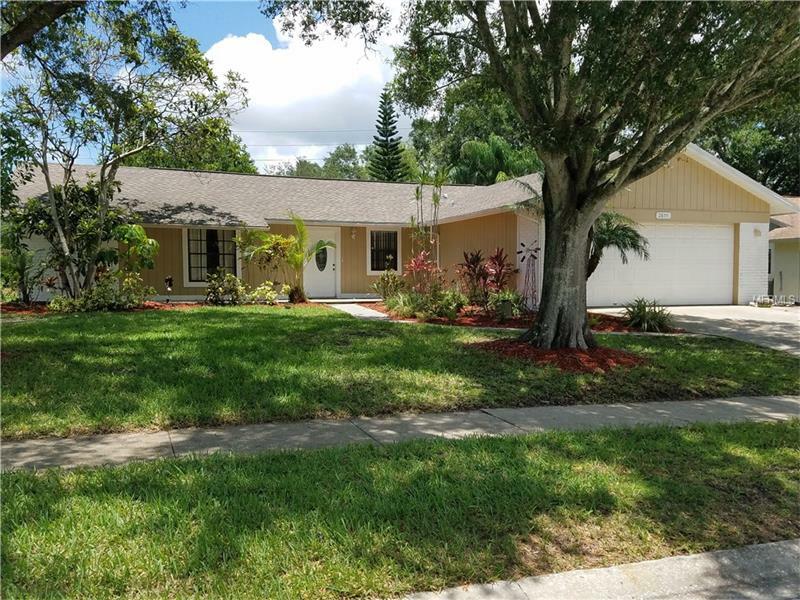 Property Photo: 2855 Paddock Drive FL 34684