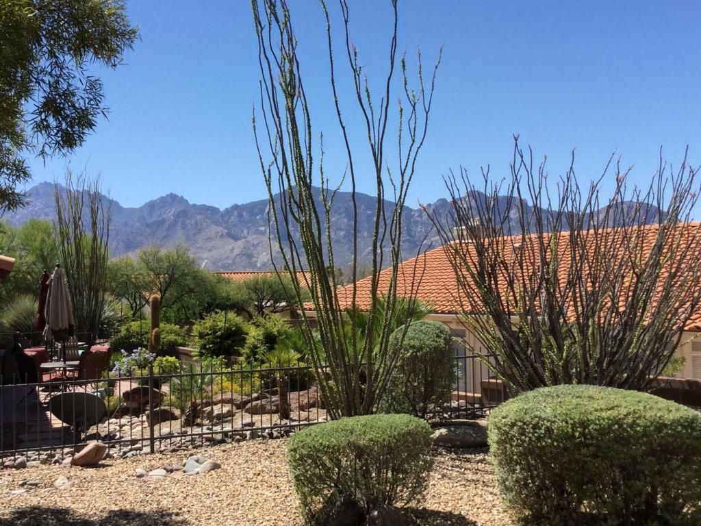 Property Photo: 14627 N Spanish Garden Lane AZ 85755