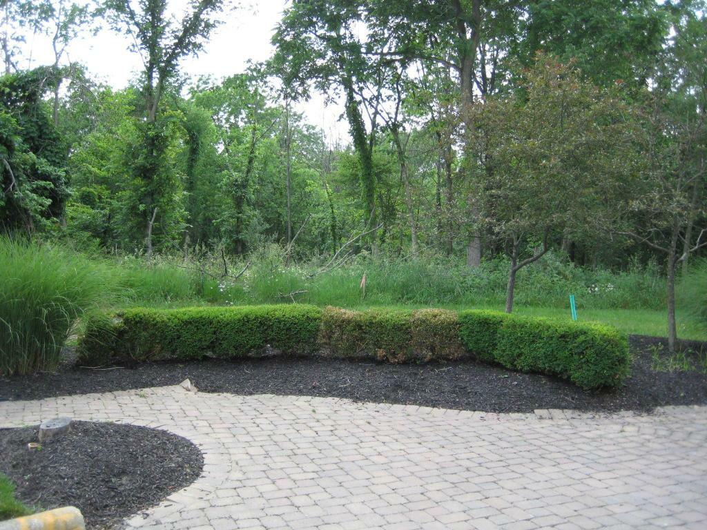 Property Photo:  476 Welwyn Drive  OH 43065 