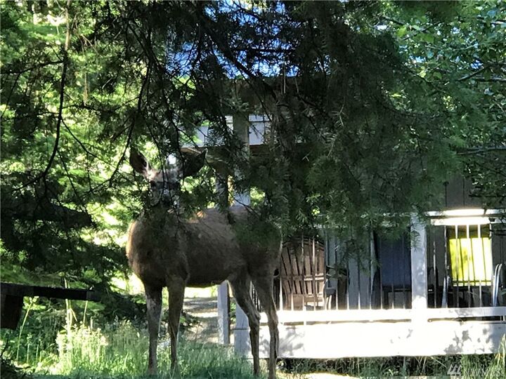 Property Photo: 20 Loch Sun Point Rd WA 98940