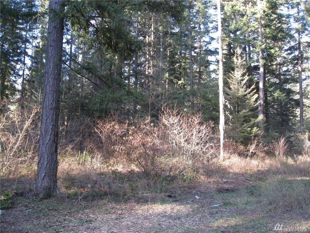 Property Photo: Lot 128 Troon Ct WA 98922