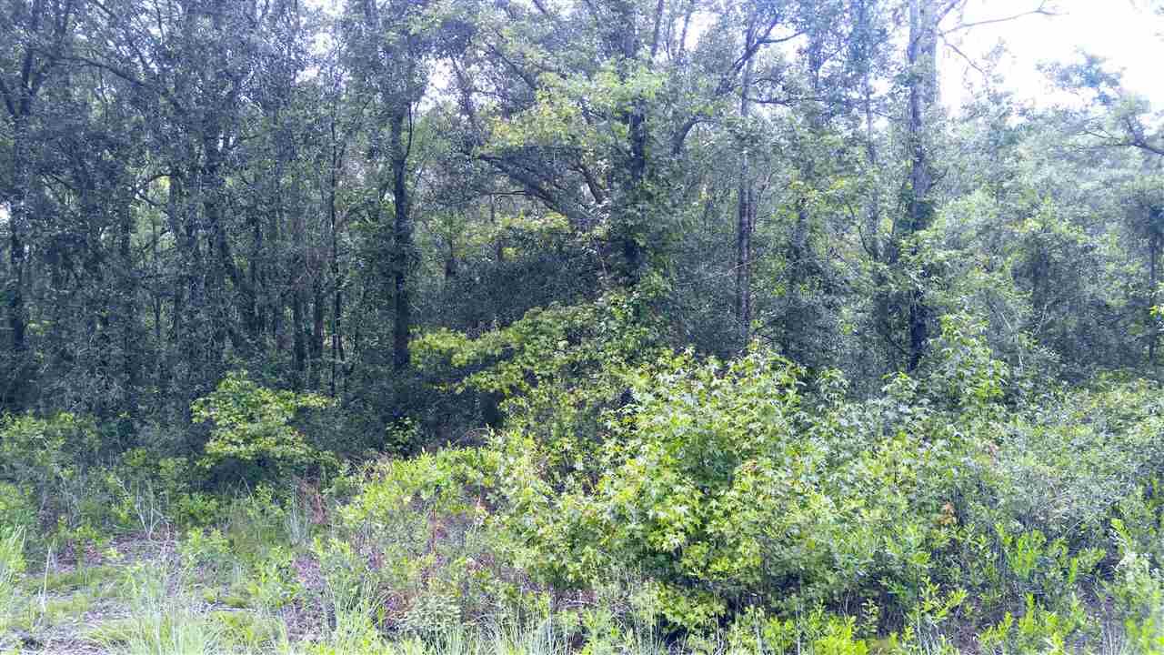 Property Photo:  10025 Turpin Avenue  FL 32145 