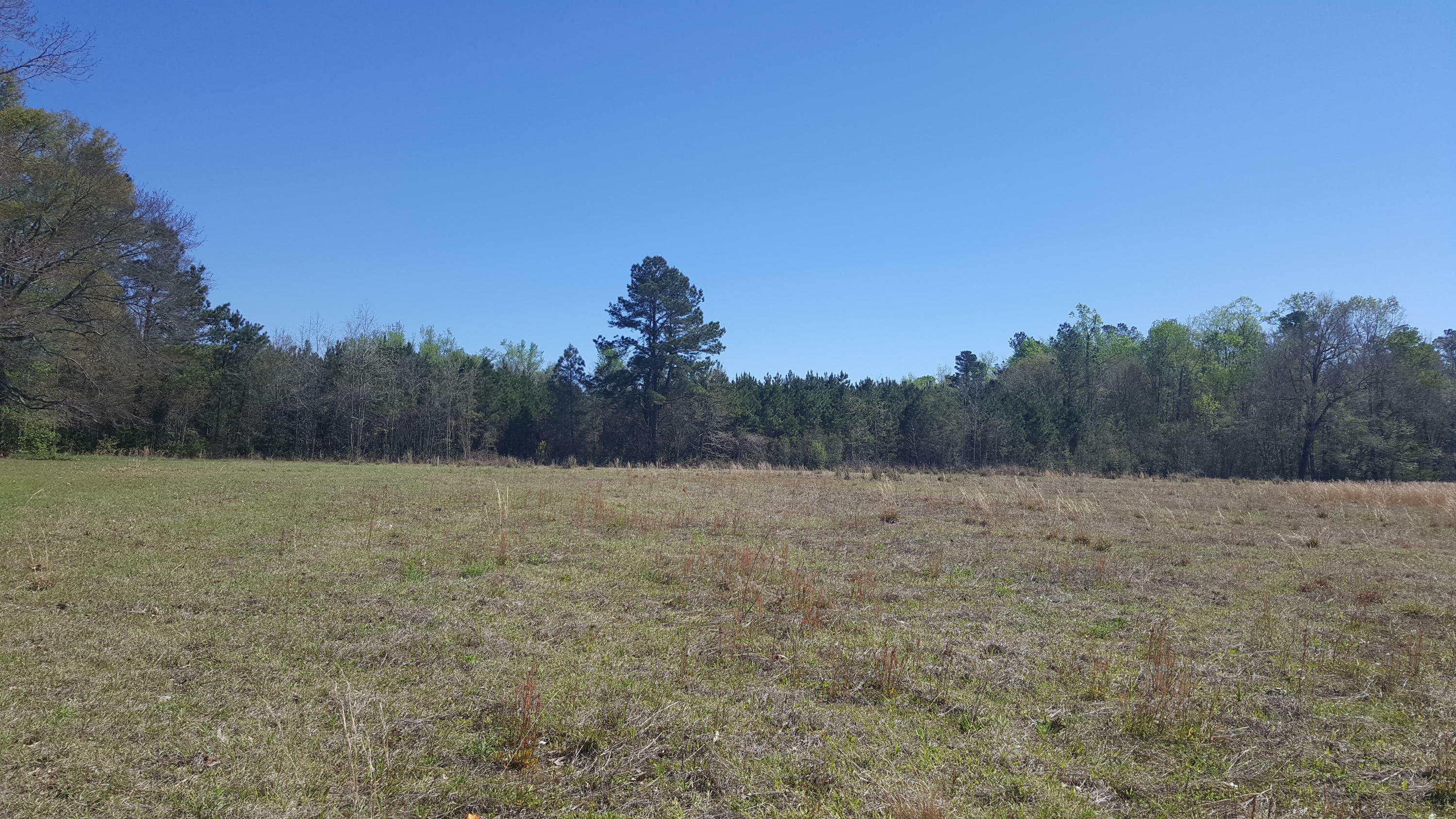 Property Photo:  0 Buckeye Lane  SC 29486 