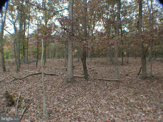 Property Photo:  Todd Coates Lot #14  VA 22603 