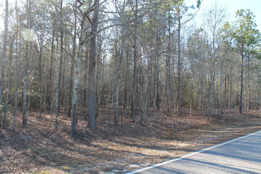 Property Photo:  12288 Bloomville Road  SC 29102 