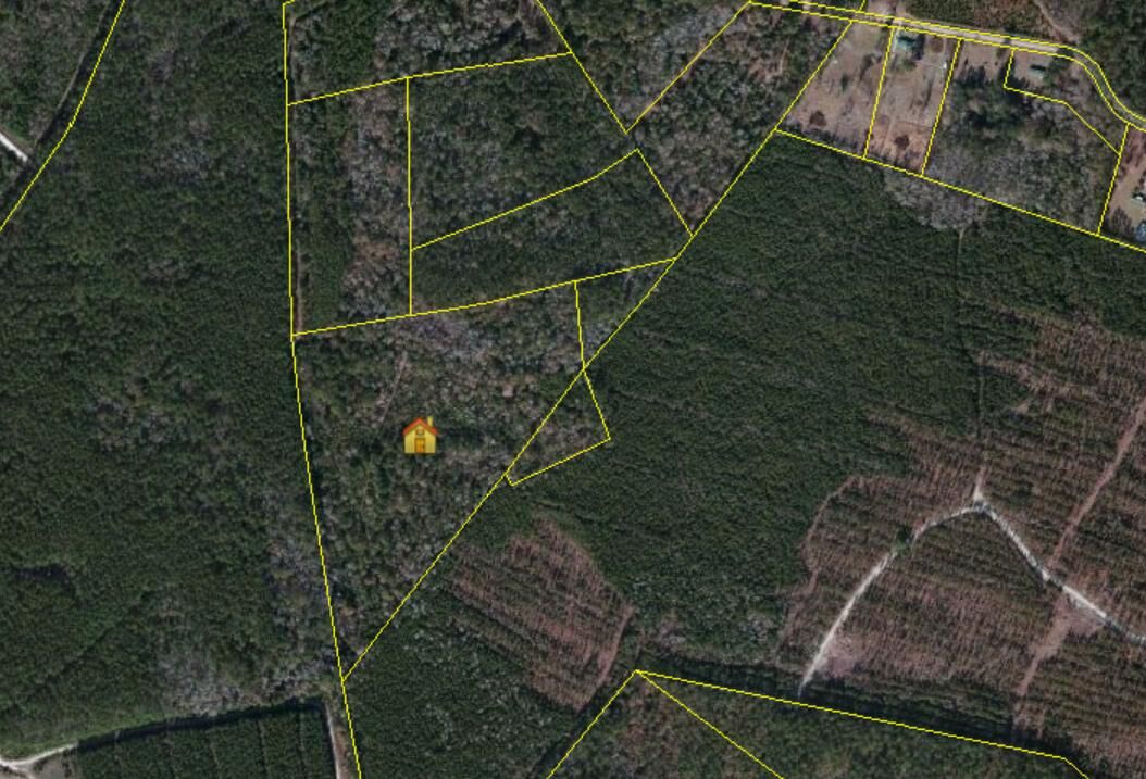 Property Photo:  0 Tundra  SC 29472 