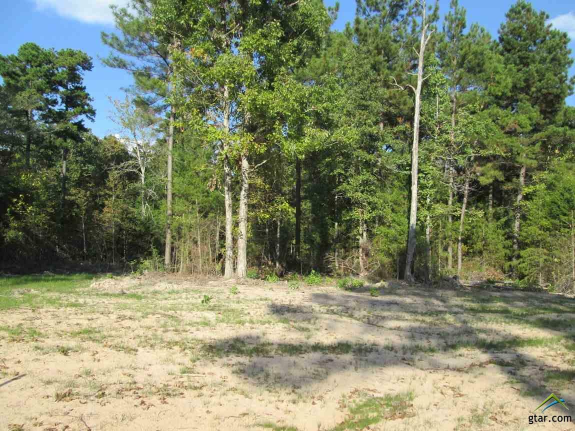 Property Photo:  Lot 33 Little Hickory Dr  TX 75647 