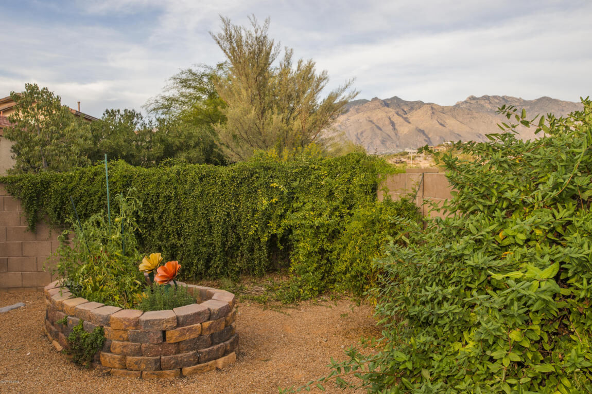 Property Photo:  3490 N Sierra Springs Drive  AZ 85712 