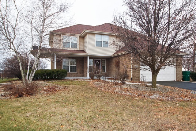 Property Photo:  21553 Trick Circle Court  IL 60481 