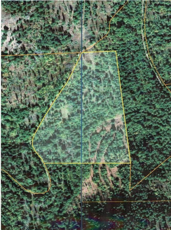 Property Photo:  279 4th Of July Creek Rd  WA 99121 