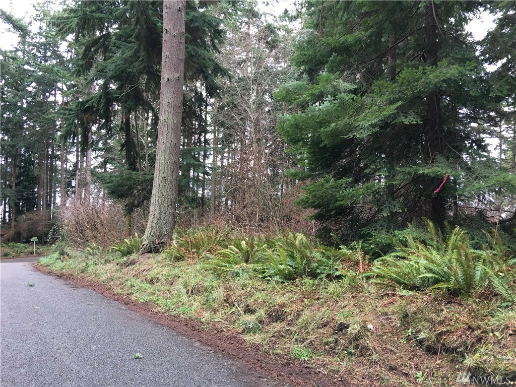 Property Photo:  Lot 128 Beach Dr  WA 98249 