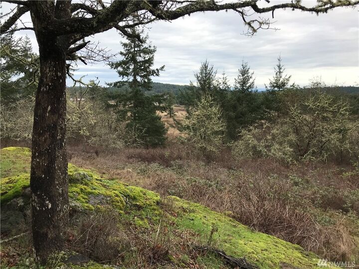 Property Photo: Xxx Skottowe Lane WA 98250