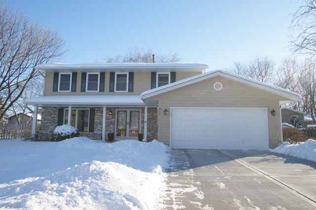 Property Photo:  867 Deerpath Court  IL 60169 