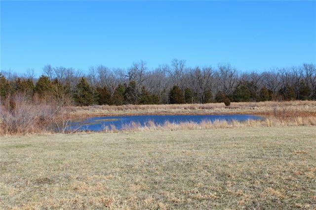 Property Photo:  0 Hawk Farm Lane 20 Acres +   63383 