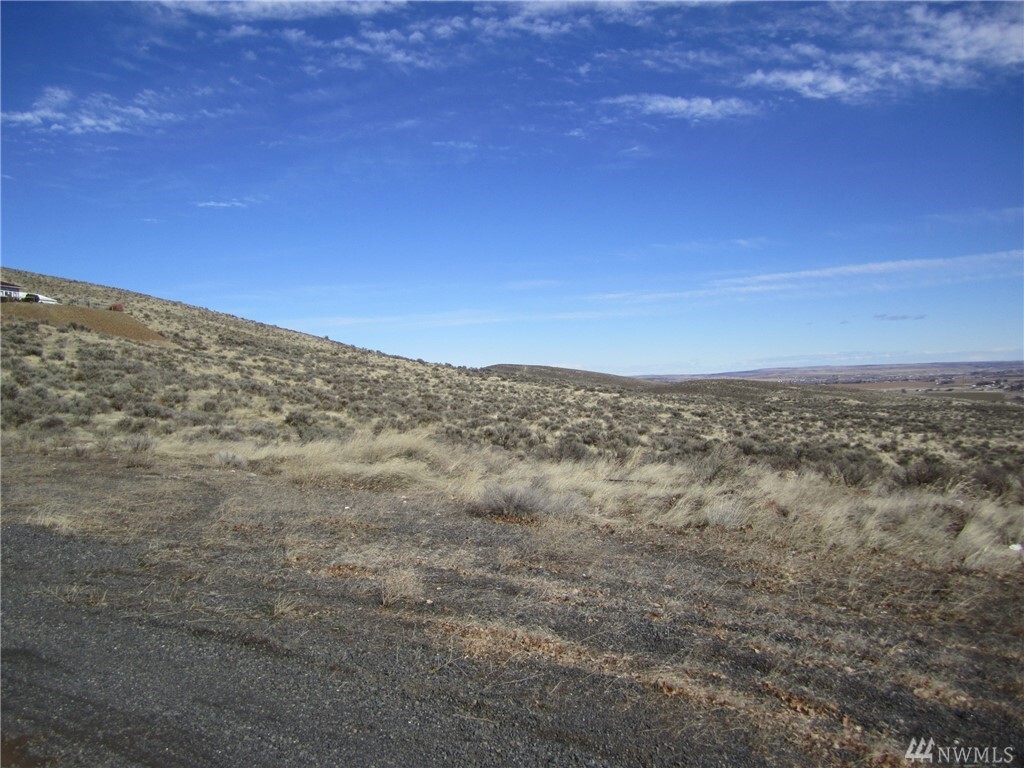 Property Photo: 0 Statter Rd WA 98823