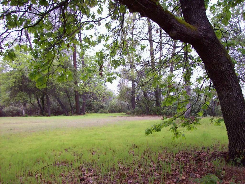 Shadow Mountain Ln.  Old Shasta CA 96087 photo