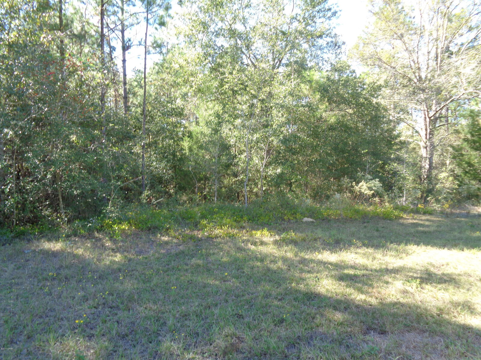 Property Photo:  Lot 2 Fairview Road  FL 32420 