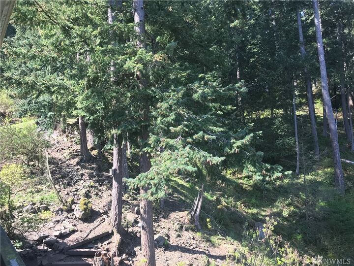 2961 Hales Passage Dr  Lummi Island WA 98262 photo