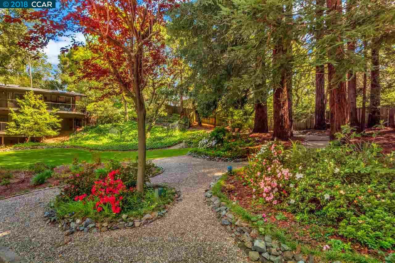 Property Photo:  4400 El Nido Ranch Road  CA 94563 