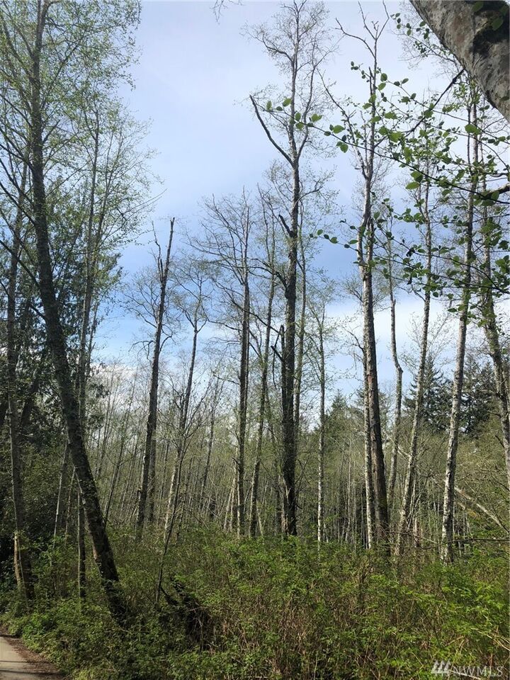 0 State Highway 3  Poulsbo WA 98370 photo