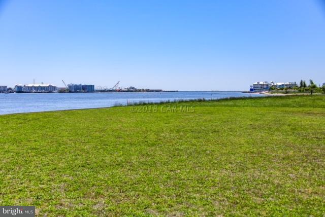 Property Photo:  Inlet Road  MD 21842 