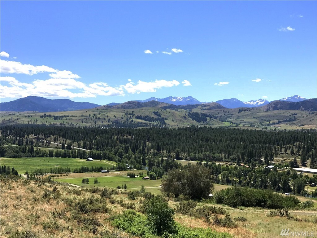 Property Photo: 101 Little Colt Lane WA 98862