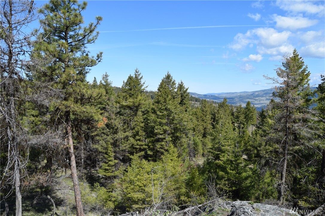 Property Photo:  1111 Rocky Canyon Rd  WA 98855 
