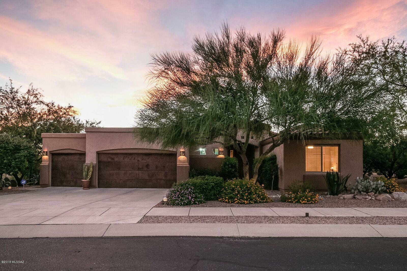 Property Photo:  12289 N Washbed Drive  AZ 85755 