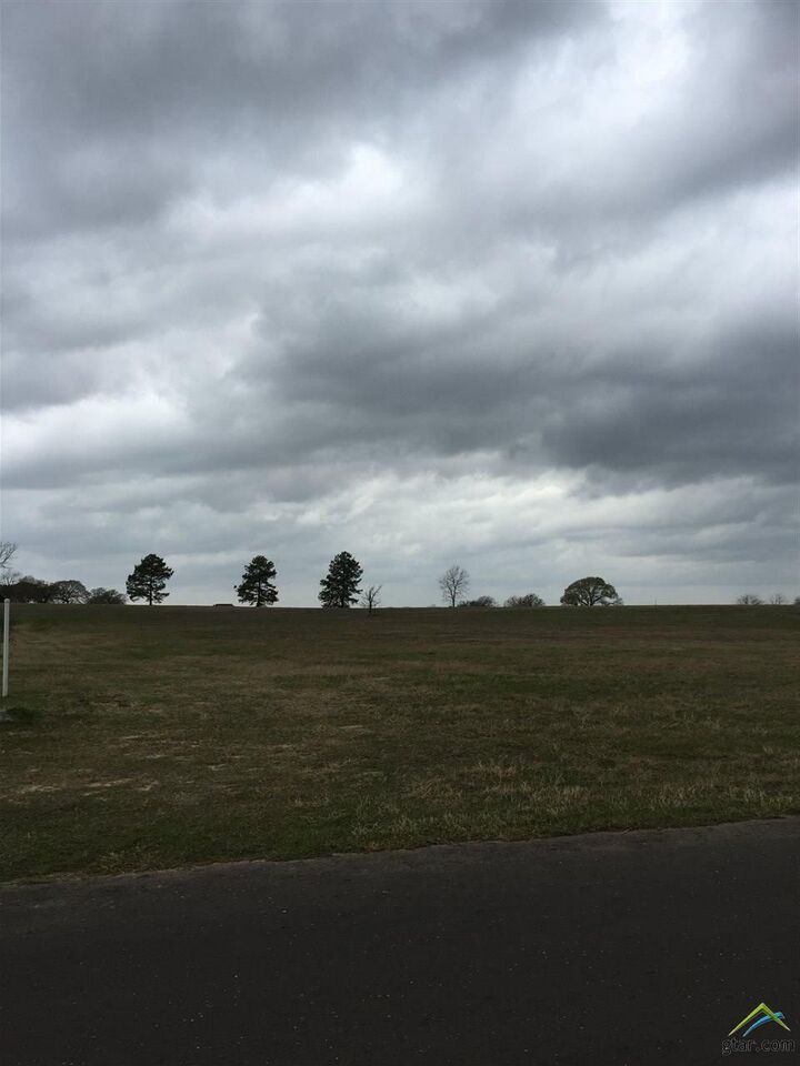 Property Photo:  15585 Cr 424 (Stallion Lake Ranch)  TX 75771 