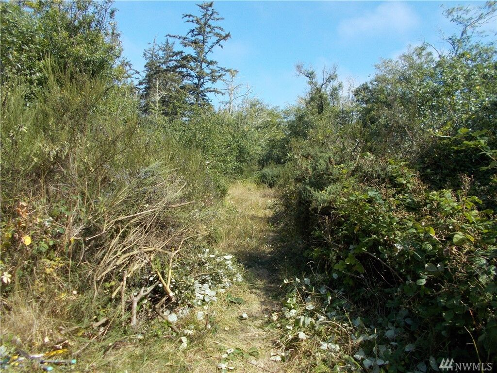 Property Photo: 3798 Larkin Rd WA 98547