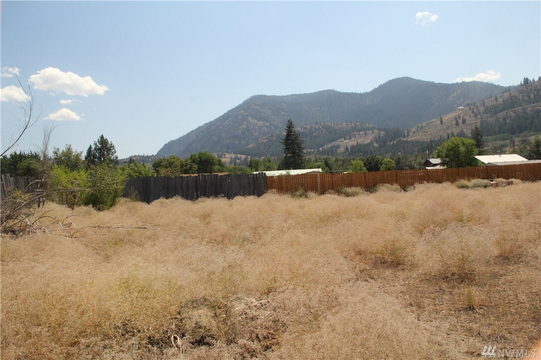 Property Photo:  914 Burton St  WA 98856 