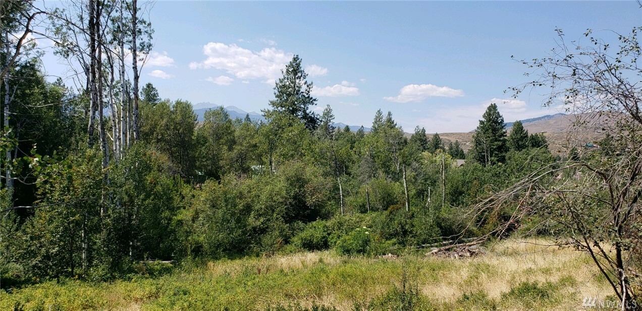 Property Photo:  2 Apple Wy  WA 98862 