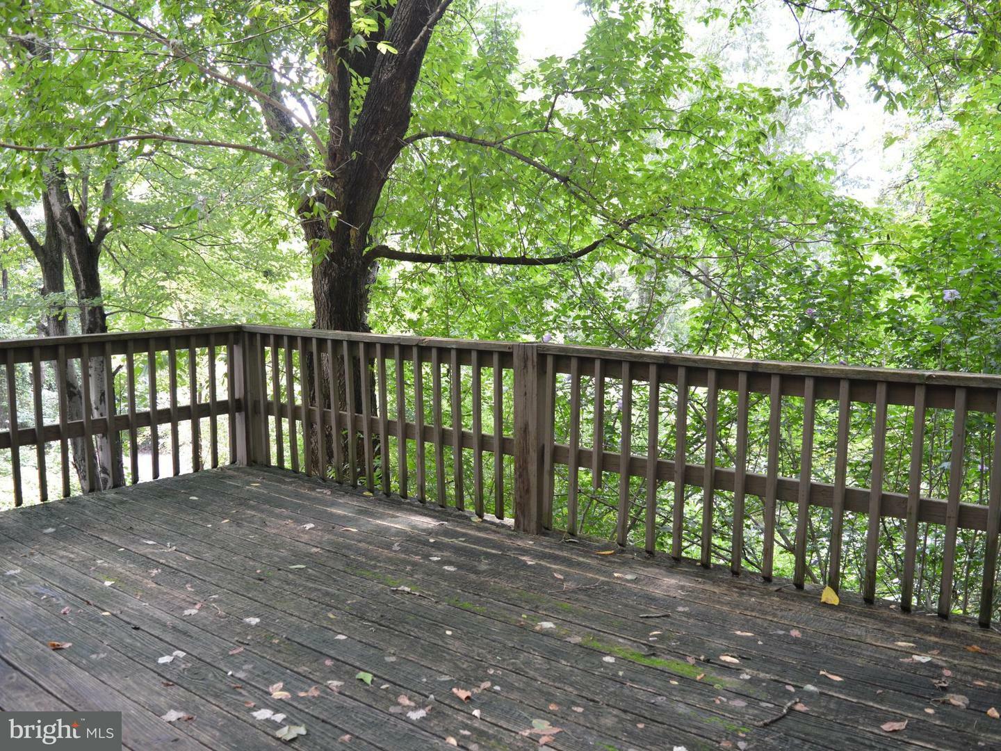 Property Photo:  311 Golden Russet Drive  VA 22642 