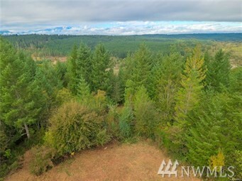 Property Photo:  30 NE Maranatha Dr  WA 98528 